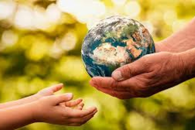 Salvaguardar el planeta es, también, cuidar la vida (+ Audio)