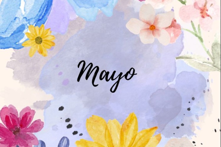 La luz de Mayo es metáfora de conciencia,