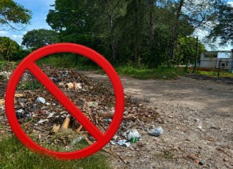 Por el medio ambiente y la salud,  un llamado a la conciencia (+Audio y Fotos)