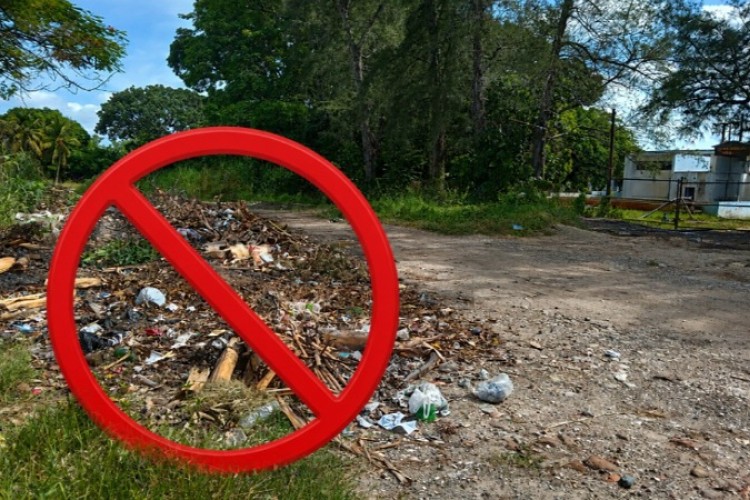 Por el medio ambiente y la salud,  un llamado a la conciencia (+Audio y Fotos)