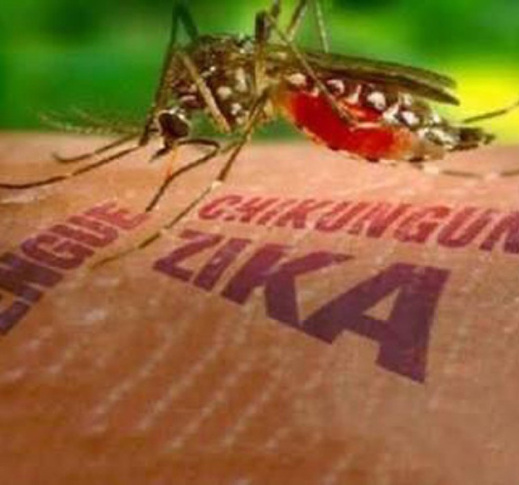 Dirigente del Partido en Camagüey verifica acciones para controlar la situación epidemiológica en Florida