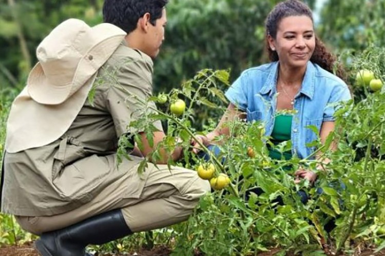 Ojo de Agua, nueva telenovela cubana