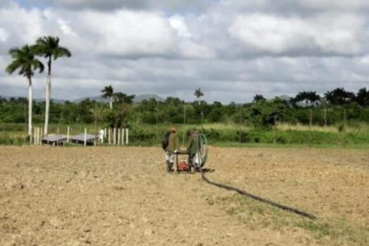 Pinar del Río tiene 65 megavatios de energía fotovoltaica instalada