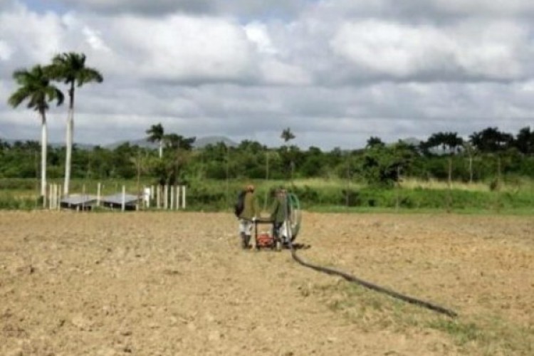 Pinar del Río has 65 megawatts of installed photovoltaic energy