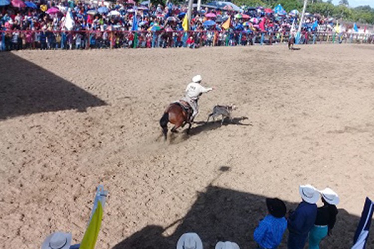 ¡Por orgullo somos guaimareños!