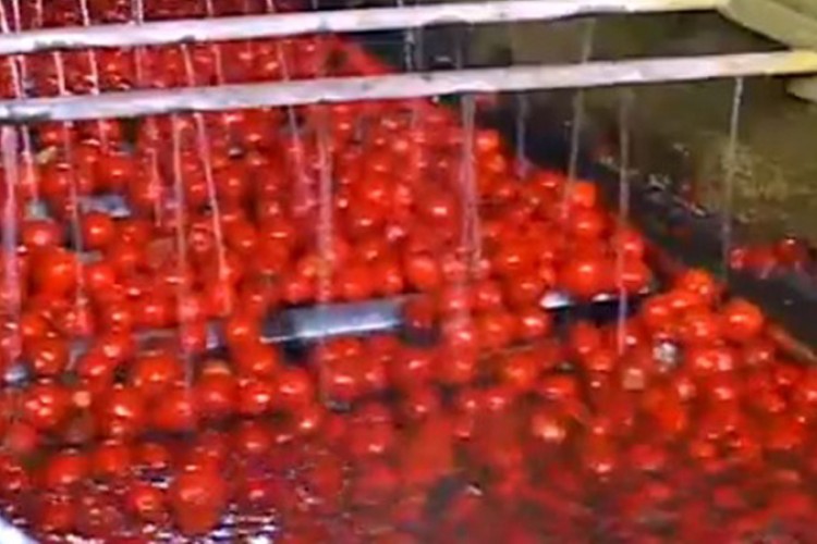 Nuevitas: compromiso con la calidad y la sostenibilidad