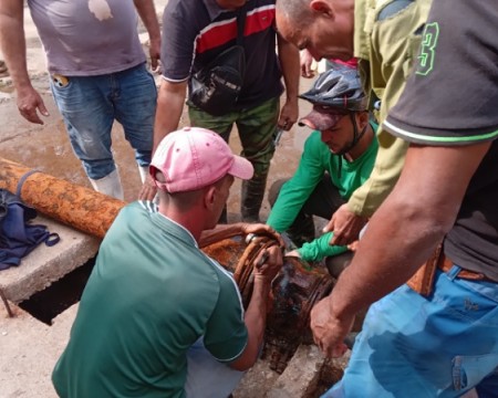 Guáimaro y la cotidiana epopeya del agua (+ Audio y Fotos)