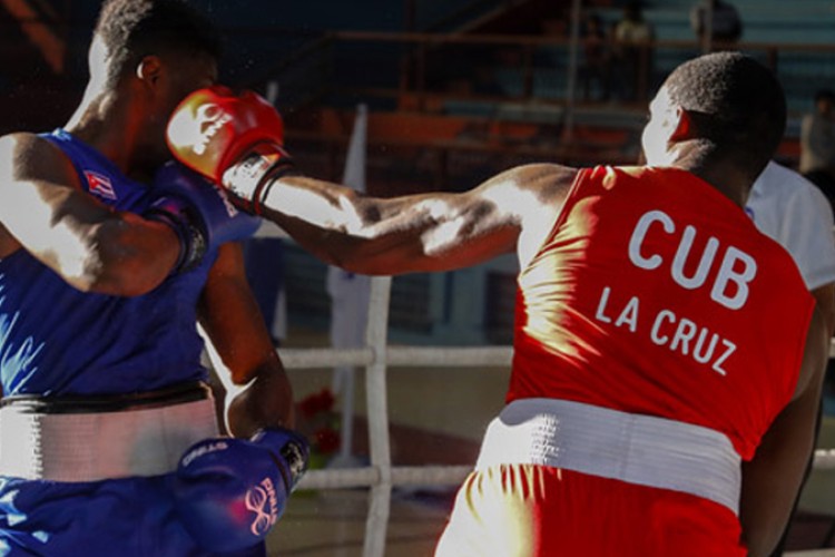 Boxeo de Cuba anuncia para el clasificatorio a Santo Domingo