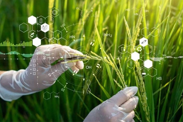 Camagüey strengthens sustainable production with applied science