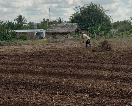 Promueven acciones para la recuperación del sector agropecuario en Guáimaro (+Fotos)