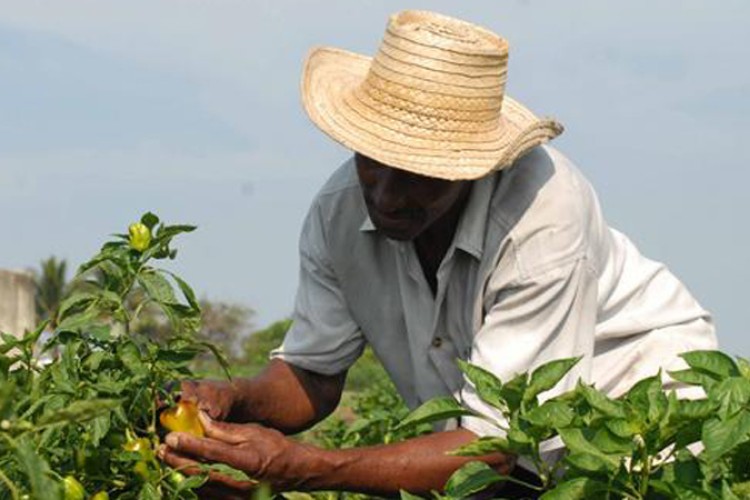 Por la eficiencia económica, ecológica, social y el uso de la tecnología (+ Post)