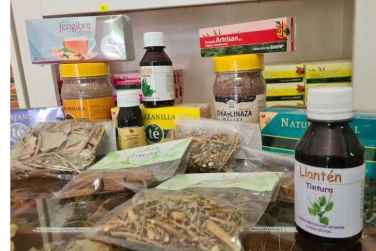 Camagüey impulsa la medicina natural: tradición y ciencia al servicio de la salud no