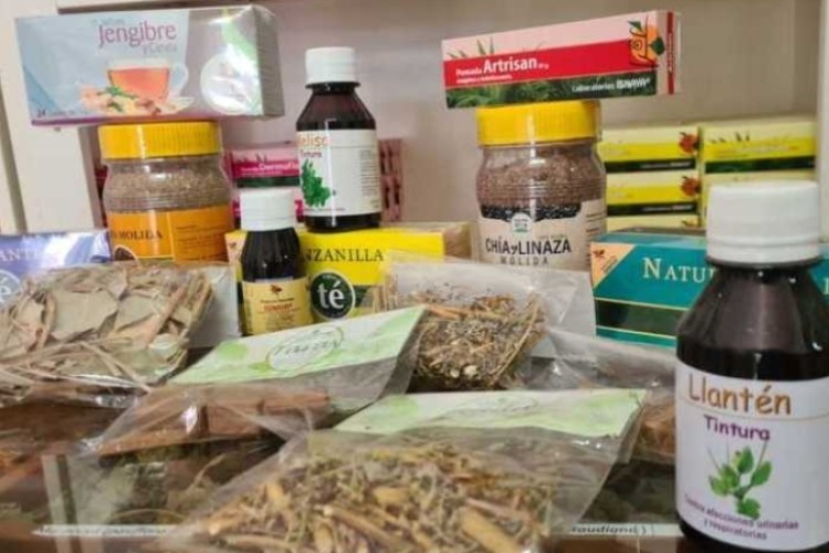 Camagüey promotes natural medicine: tradition and science in the service of health