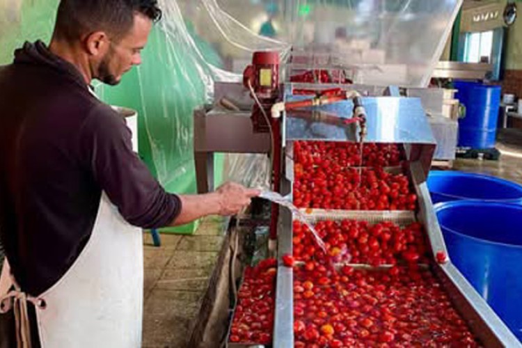 Llaman en Camagüey a potenciar producciones agroalimentarias