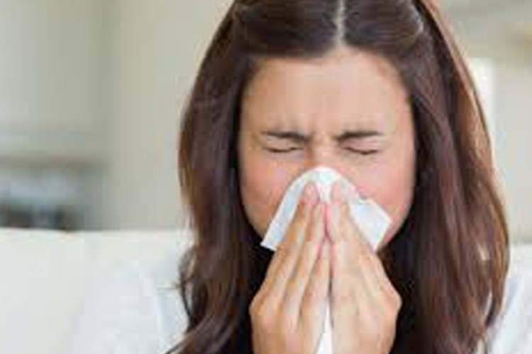 The advantages of preventing allergic diseases in Guáimaro