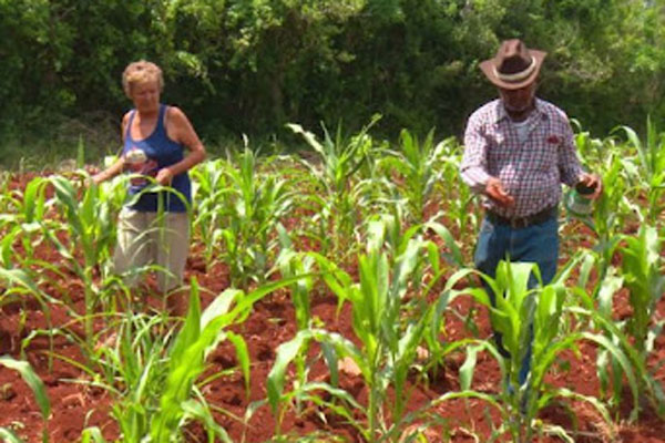 Foto del avatar Dagoberto Arestuche Fernández 