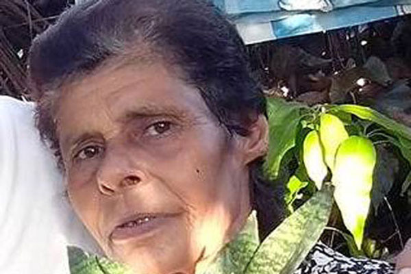 Migdalia Salgado Echavarría, octogenaria mujer amante de las plantas. Foto cortesía del autor.