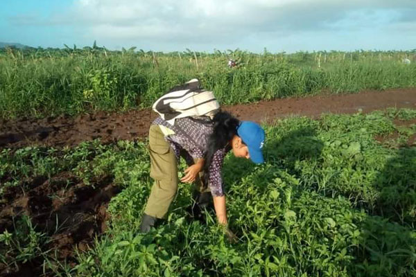 Mujeres cubanas, baluartes de la Revolución. Foto tomada de X.com