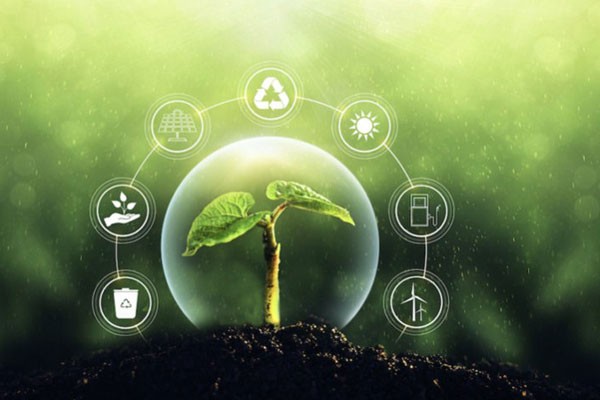Tarea Vida para el enfrentamiento al cambio climático en Holguín.