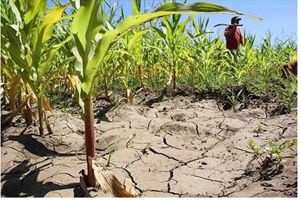 Ejecuta Cuba 206 obras para mitigar la sequía
