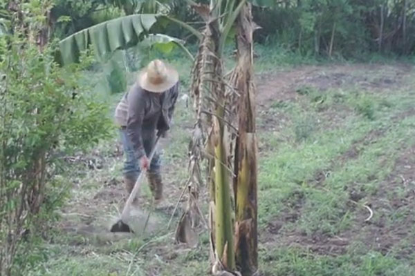 produccion alimentos