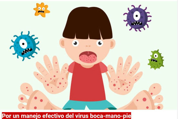 virus manejo