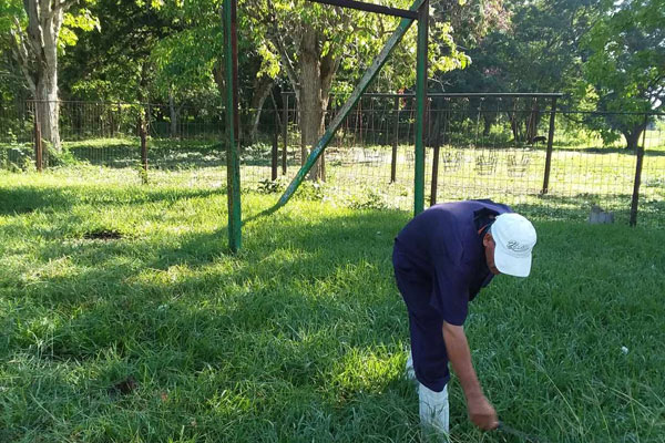 Batalla por la higiene