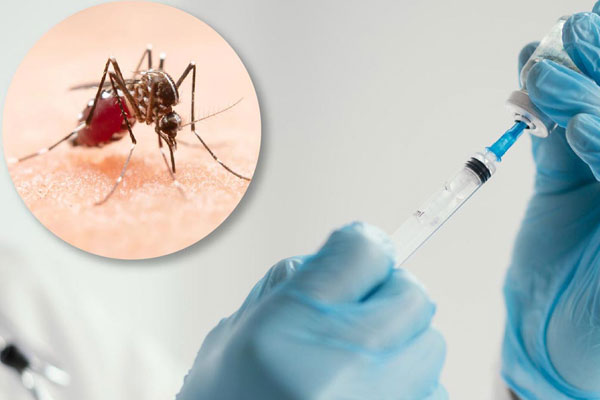 1 TAK 003 segunda vacuna co