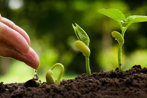 1 agricultura sostenible a