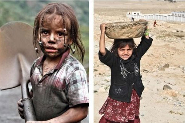 fotos si 491x500.x10671