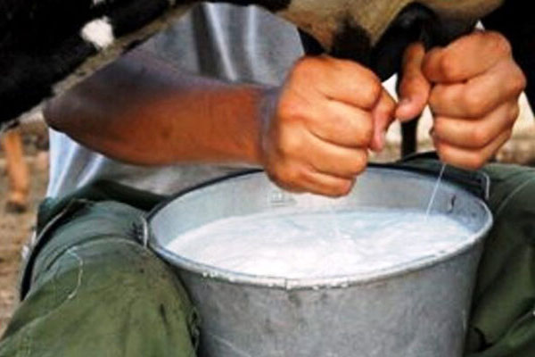 1 Produccion de Leche en Ca