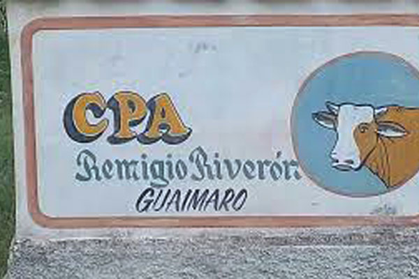 CPA REmigio Riveron