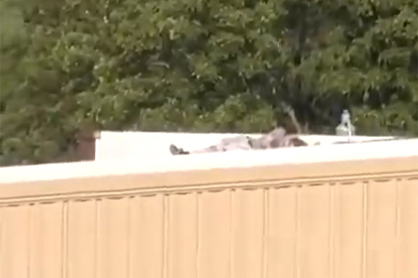 EEUU Cuerpo de Atacante de 