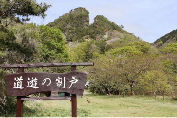 mina japonesa patrimonio 1