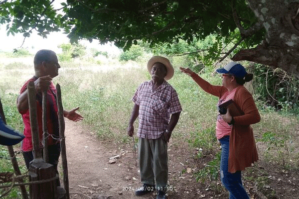 control produccion alimento