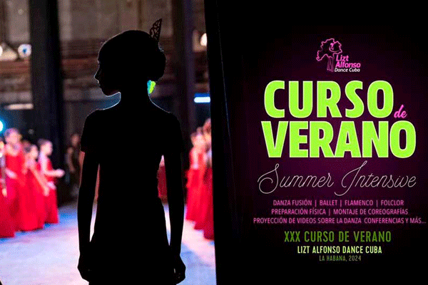 litz alfonso curso verano 1