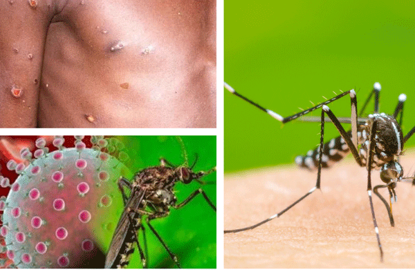 mpox.oropouche dengue 1