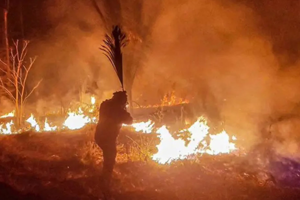 Bolivia Incendios 1