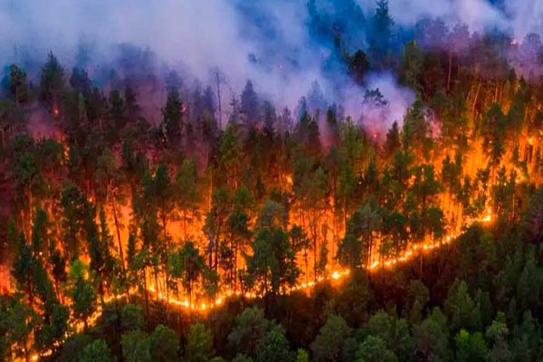 Incendios forestales castigan a Ecuador