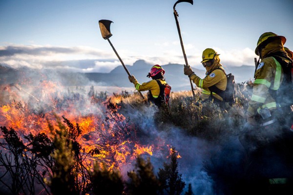 Gobierno de Ecuador destina fondos a combatir incendios forestales