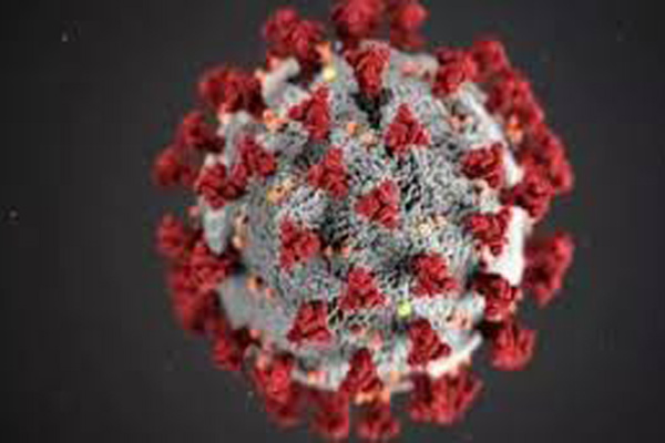 vigilancia epidemiologica