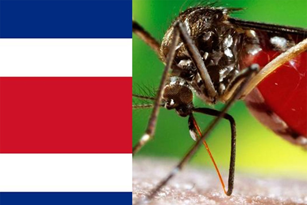 Costa Rica Dengue 1