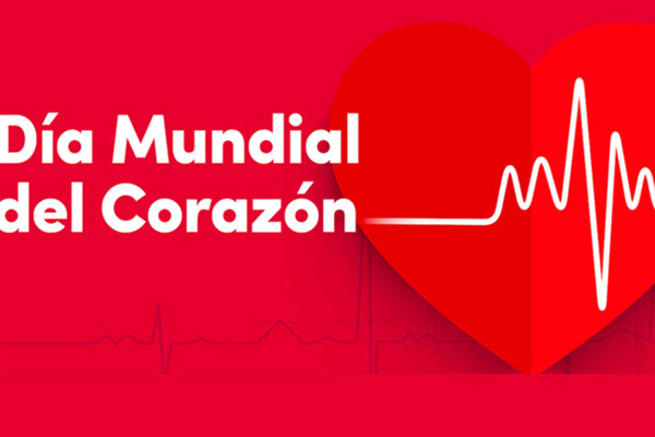 Dia Corazon 1