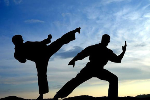Artes marciales Neutra
