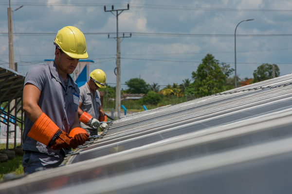 paneles fotovoltaicos 2654