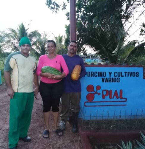 foto 3 reportaje ciencia 488x500