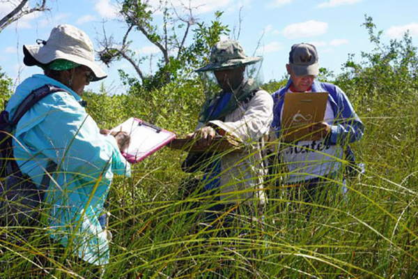 full expedicion humedales