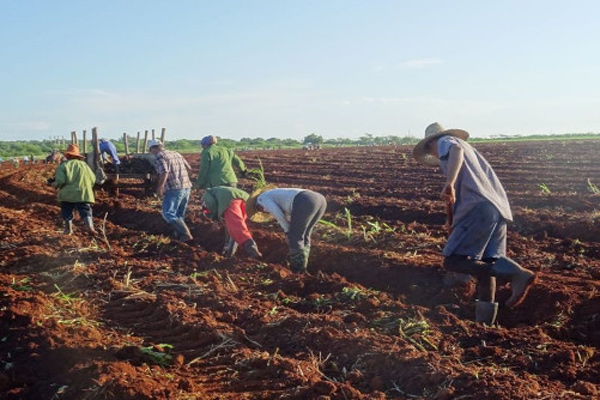 1 Inicia campana de frio co