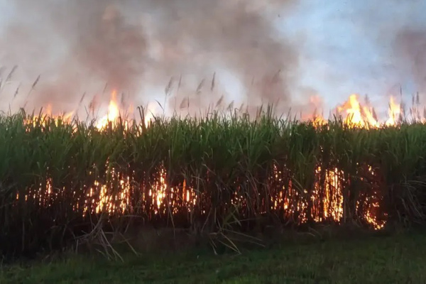 incendio cana cuba 1