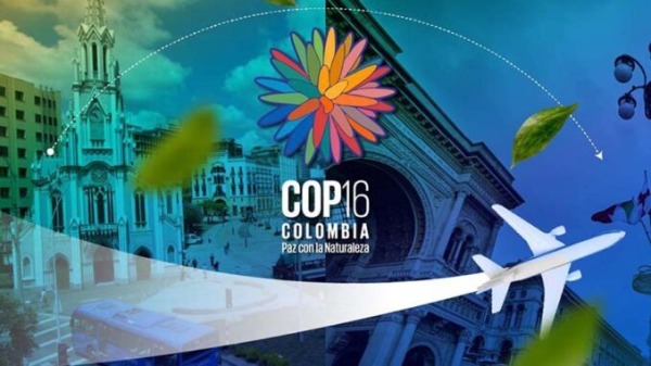 COP16 678x381